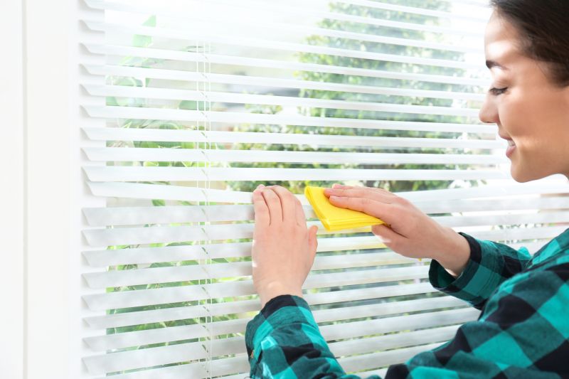 Cellular Shades Cleaning in Madison, WI