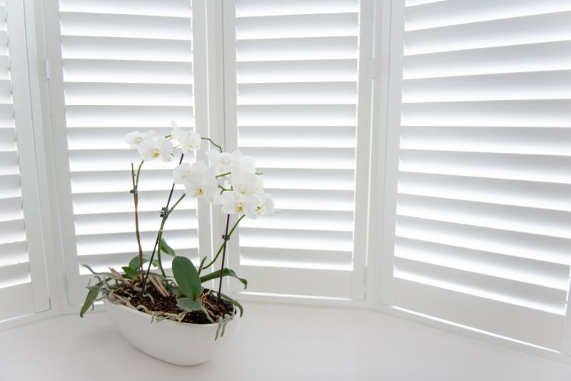 Shutter Mounting in Midlothian, VA
