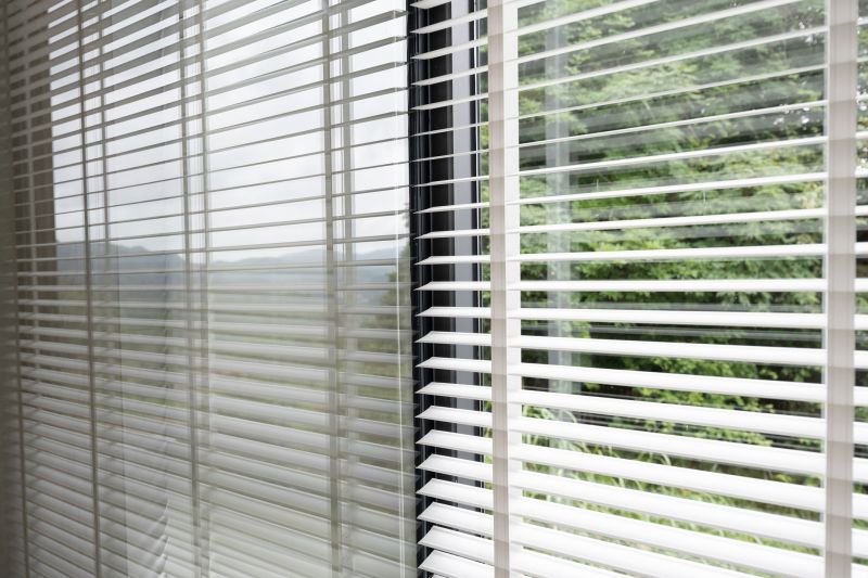 Vertical Blind Cleaning in Billings, MT