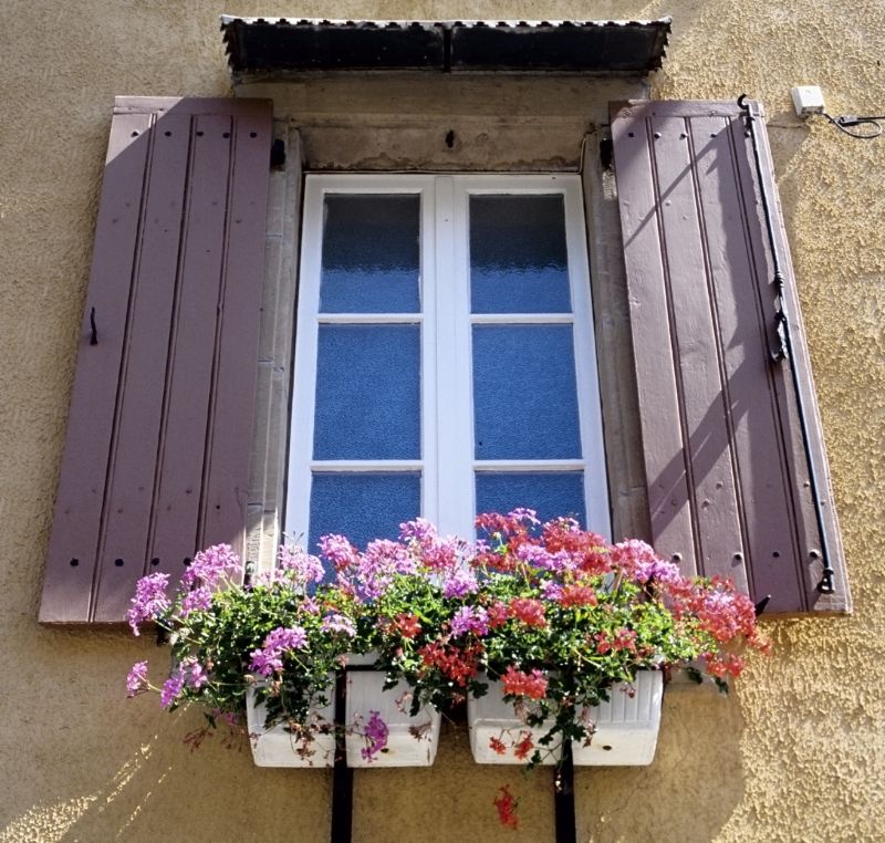 Wood Shutters Repair